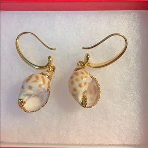 Lovely seashell earrings brand new!